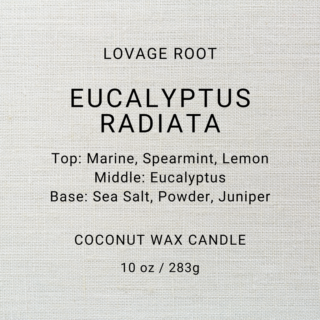 Coconut Wax Candle-Eucalyptus Radiata