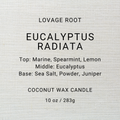 Coconut Wax Candle-Eucalyptus Radiata