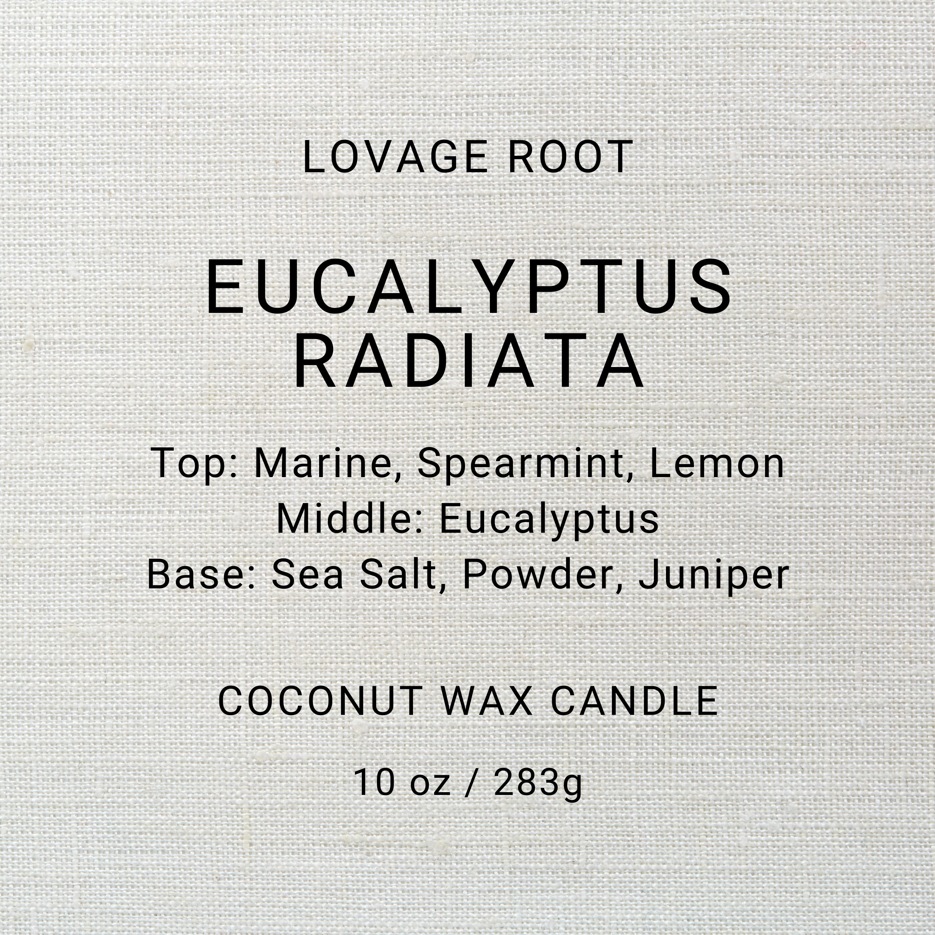 Coconut Wax Candle-Eucalyptus Radiata
