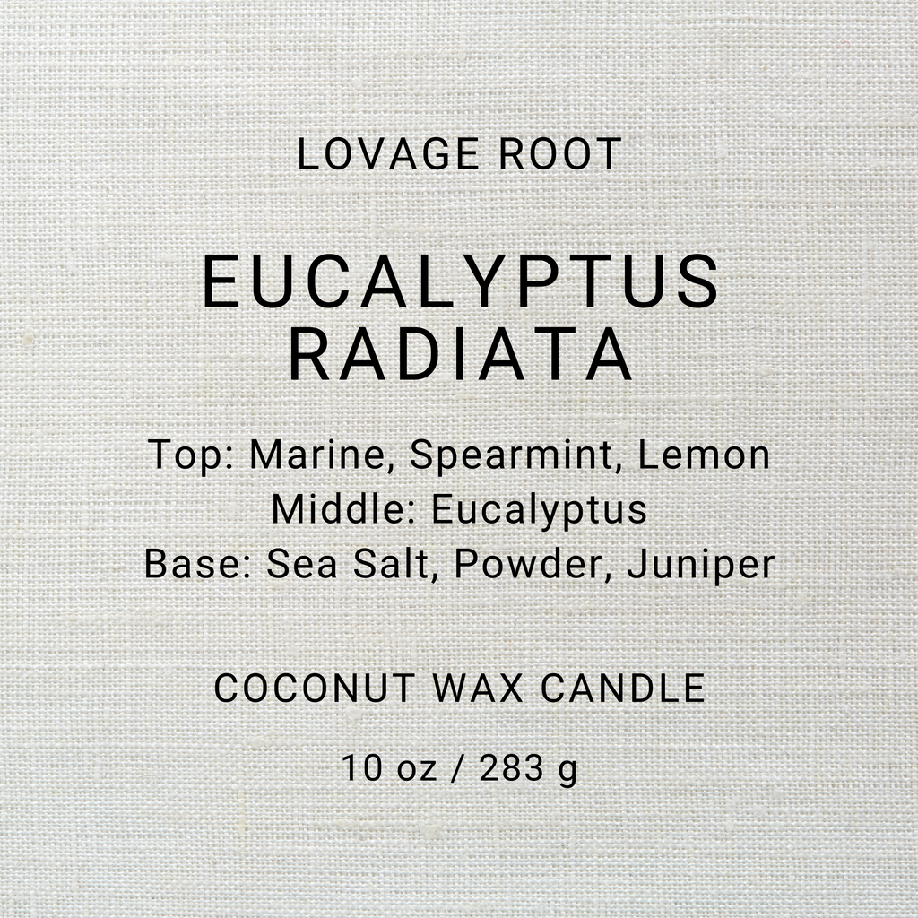 Coconut Wax Candle-Eucalyptus Radiata