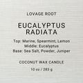 Coconut Wax Candle-Eucalyptus Radiata