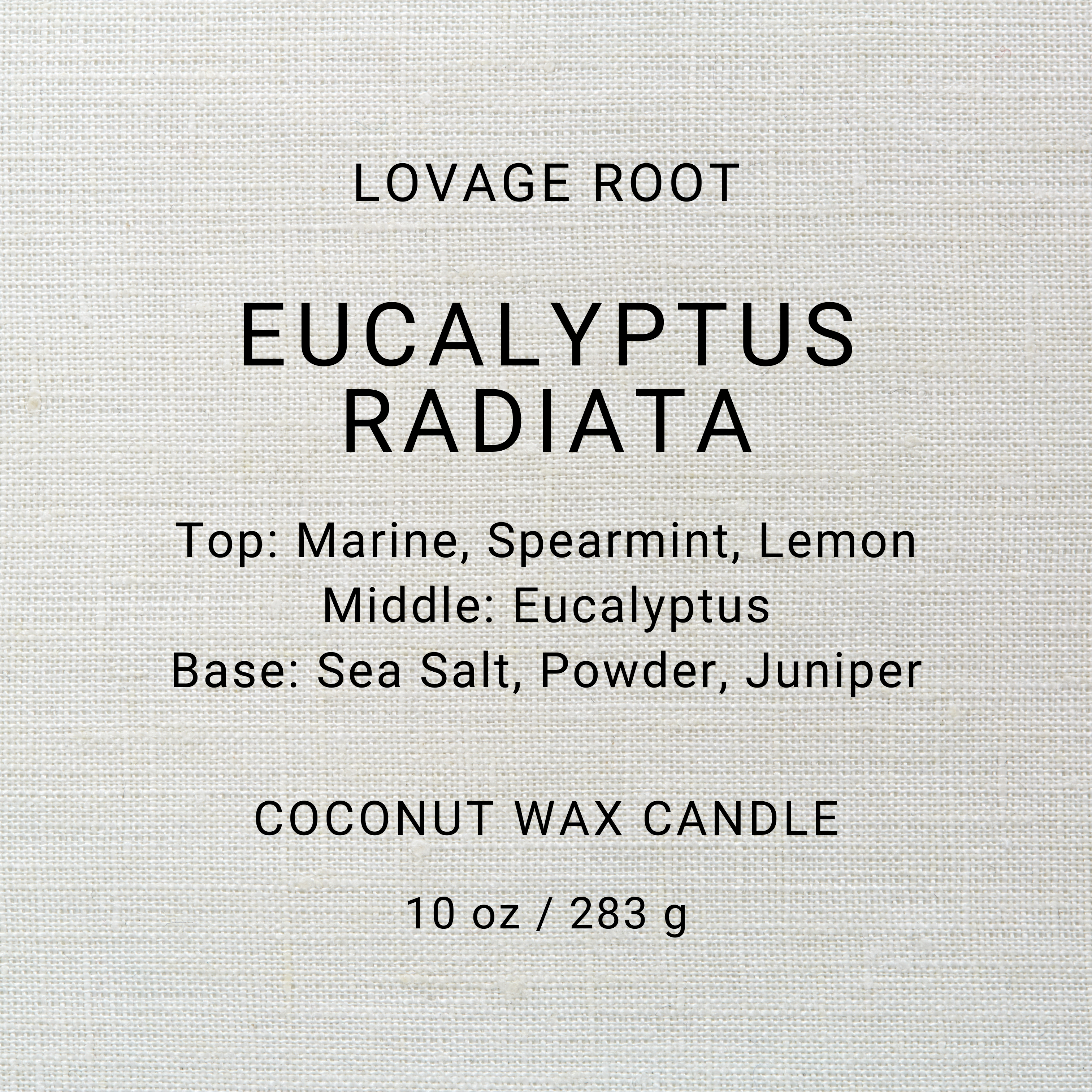 Coconut Wax Candle-Eucalyptus Radiata
