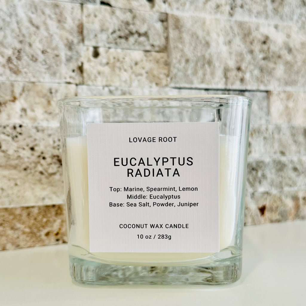 Coconut Wax Candle-Eucalyptus Radiata