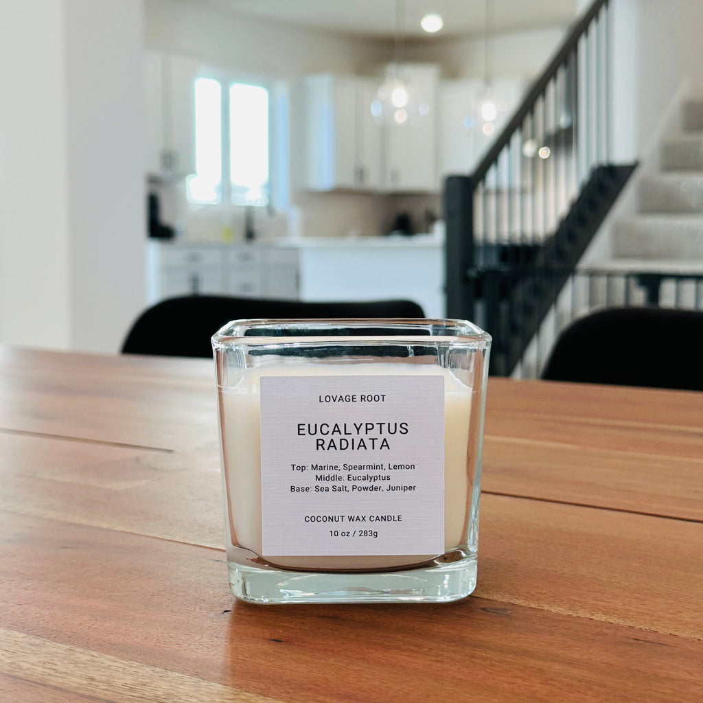 Coconut Wax Candle-Eucalyptus Radiata