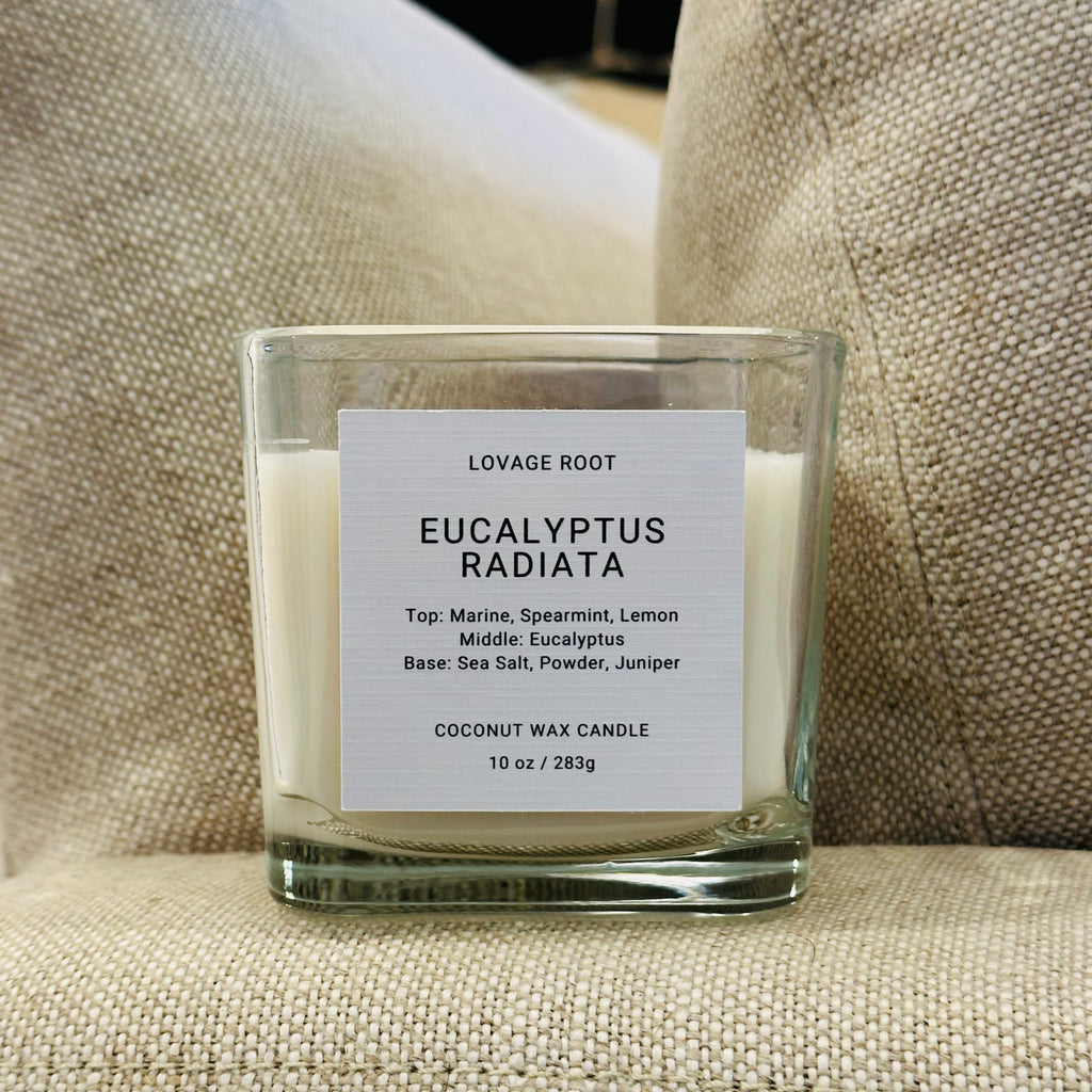 Coconut Wax Candle-Eucalyptus Radiata