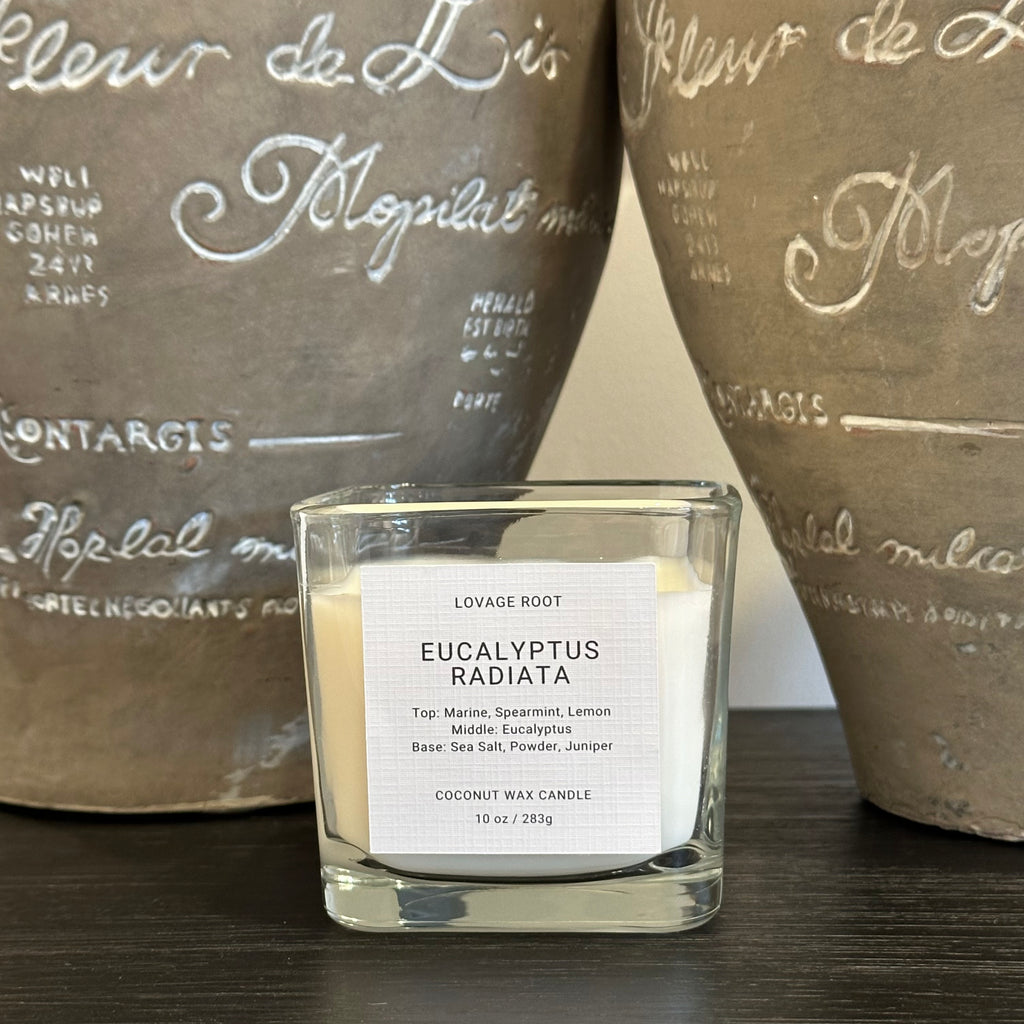 Coconut Wax Candle-Eucalyptus Radiata