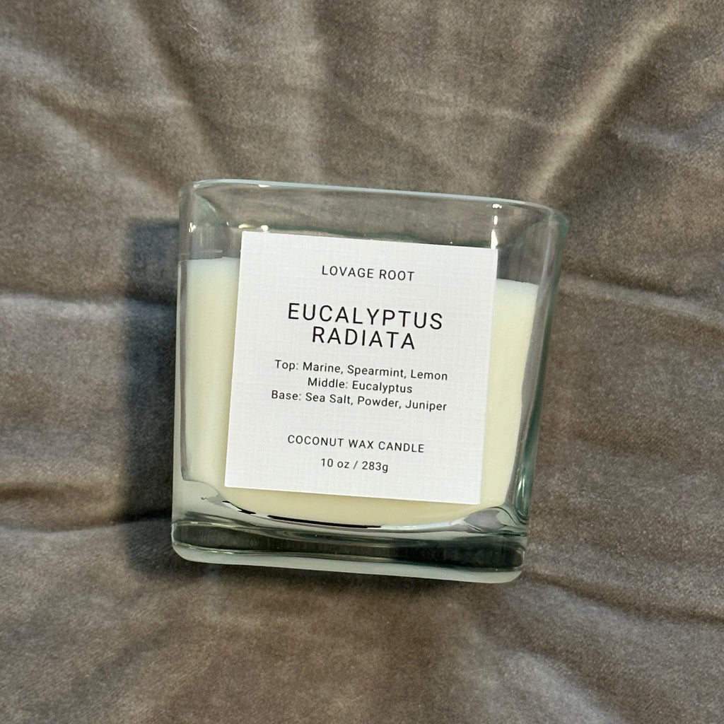 Coconut Wax Candle-Eucalyptus Radiata