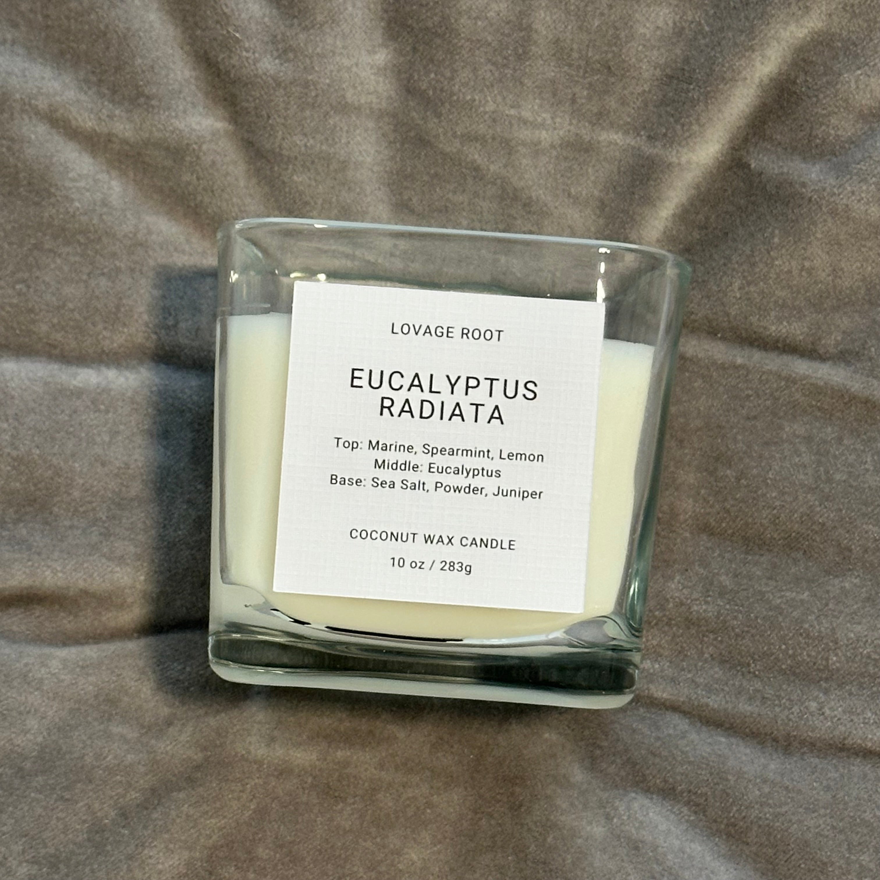 Coconut Wax Candle-Eucalyptus Radiata