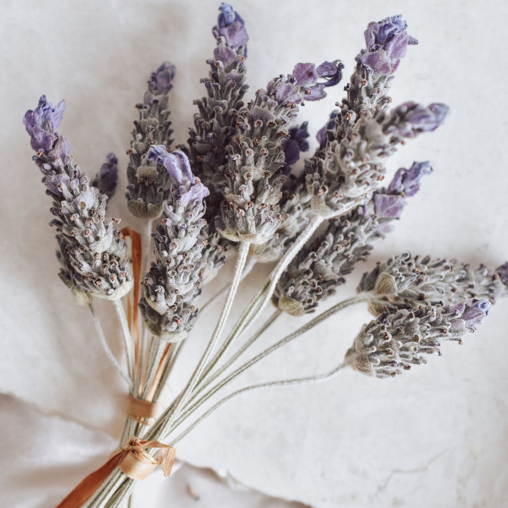 Essential Oil-Lavender (Lavandula Angustifolia)