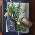 Essential Oil-Rosemary (Rosmarinus Officinalis L.)